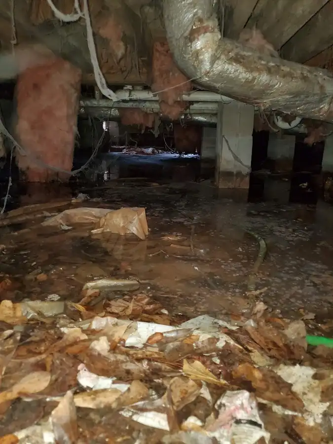 Crawl space flood assessment for Leak Detection & Repair in Angleton