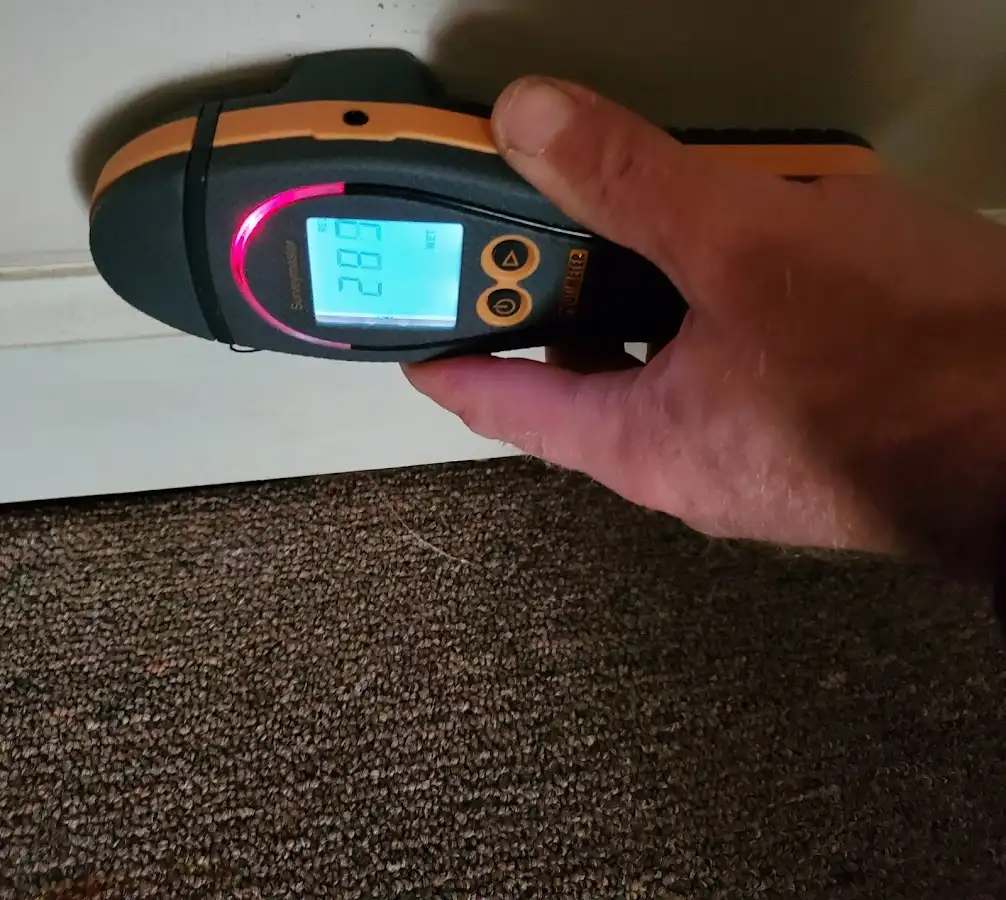 Moisture detection at baseboard during Burst Pipe Cleanup in Angleton
